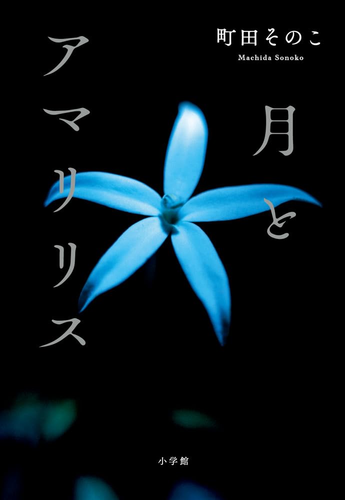 月とアマリリス 書影